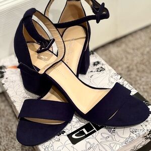 Elegant Navy Blue Suede  Women Block Heels